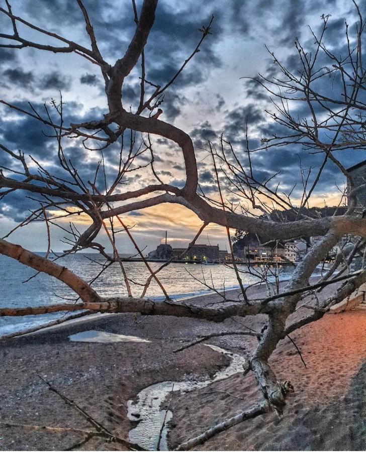Apartmán Vista Petrovac Exteriér fotografie
